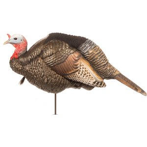 Dave Smith Decoys 3/4 Strut Jake Decoy, Lightweight, Durable Resin