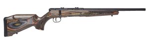Savage Arms B22 BNS-SR 22 WMR 70549
