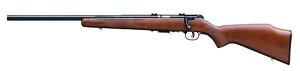 Savage Arms 93R17 17 HMR 96717