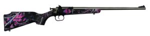 Keystone Sporting Arms Crickett 22 LR KSA2167