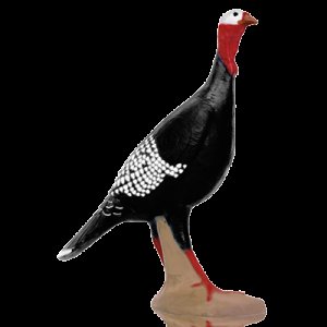 Delta McKenzie Backyard 3D Target Alert Turkey FlexFoam 34" 51440