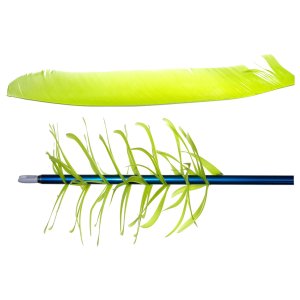 Trueflight 17013 Spiral Wrap Flu-Flu Feathers Chartreuse RW 100 Pack