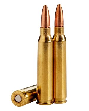 Lehigh Defense LA22362CC 223 Remington 62 Grain Brass Ammo 20 Rounds