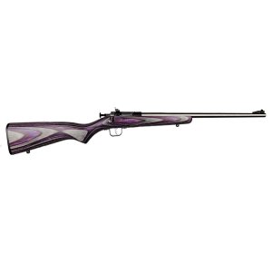 Keystone Sporting Arms Crickett 22 LR KSA2228