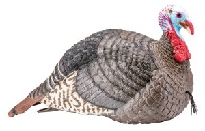 Hunters Specialties Strut-Lite Jake Decoy 100003 Multi-Color Synthetic