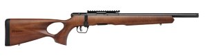 Savage Arms B17 17 HMR 70817