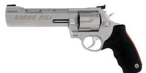 Taurus 2-444069 Raging Bull .44 Magnum Revolver 6.5" Stainless 6rd