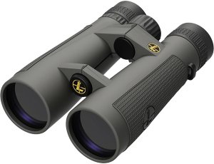 Leupold BX-5 Santiam HD 10x50mm Binocular Shadow Gray Armor