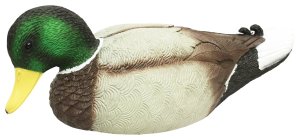 Mojo Outdoors Rippler Mallard Drake Multi-Color Plastic