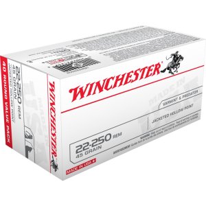 Winchester Ammo USA222502 22-250 Rem 45 gr 3950 fps JHP 40 Bx/10 Cs