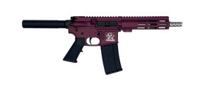 Great Lakes Firearms AR15 .223 Wylde GL15223SSP CHY