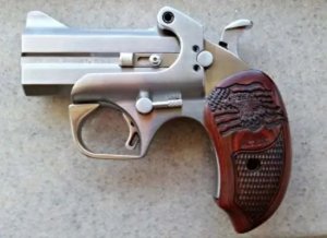 Bond Arms Patriot45 .45 Colt/.410 Bore 3.00 In 2-Round Stainless