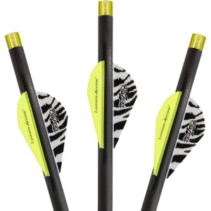 Lumenok BECF3 20In Carbon Bolts HD-Orange Nocks 3-Pack