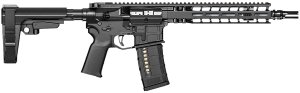 Radian Weapons Model 1 .223 REM/5.56 NATO