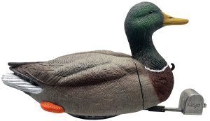 Mojo Outdoors Dabbler Duck Mallard Drake Species HW2554