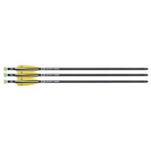 TenPoint HEA7493 EVO-X CenterPunch Lighted Carbon Arrows 20" 3 Pack