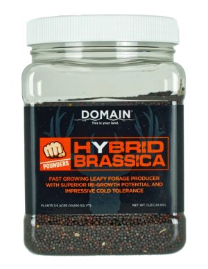 Domain DHBS1LB Hybrid Brassica Seed 1 Lb Plants 1/4 Acre