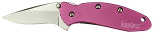 Kershaw 1600PINK Chive BB-PL Pink Knife