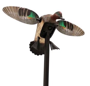 Mojo Outdoors HW24743P Elite Green Winged Teal Decoy Realistic