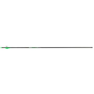 Victory RIPAG-350FB-6 Arrows 350 2" Vanes 6pk, ICE Coating, AAE Nocks
