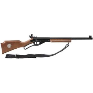 Daisy 499B Champion .177 BB Air Rifle, Smooth Bore, Competition Sights