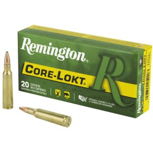 Remington Core-Lokt 250 Sav. 100 gr. PSP Ammo 20 rd.