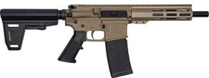 Great Lakes Firearms GL15223PB FDE .223 Wylde