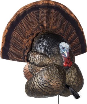 GSM Outdoors Thunder Creeper Strutter Folding Fan Decoy