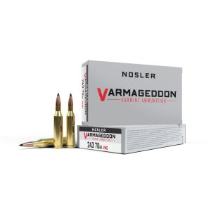 Nosler 61029 243 Win 70 Grain Flat Base Tipped 20 Count Ammunition