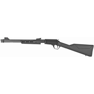 Rossi Gallery 22 LR RP22181SY