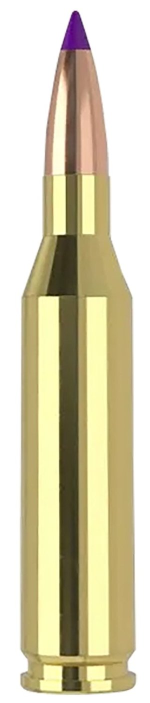 Nosler 40041 Ballistic Tip Varmint .243 Win 70gr 20 Rounds