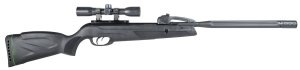 Daisy Manufacturing GAMO Swarm Whisper .22 Pellet 19.1In 10-Shot