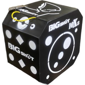 BIGshot Titan 10XS Broadhead Target, 10 Sides, 450 FPS, 150 Aiming Points