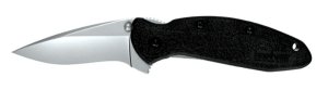 Kershaw 1620 Scallion Assisted 2.4 In 420HC Drop Point Knife
