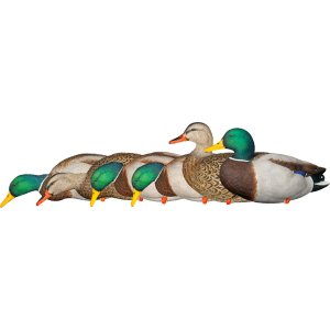 AvianX AVX8061 AXP Fusion Duck Decoys Mallards 6-Pack with Bag