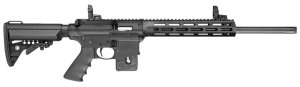 Smith & Wesson M&P15-22 22 LR