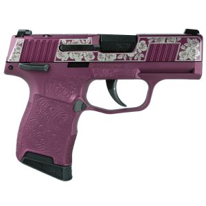 Sig Sauer P365-380 380 Auto 3.1 in Barrel Black Manual Safety 10rd Capacity