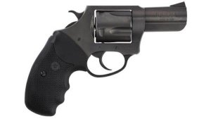 Charter Arms Bulldog 44 Special 64420