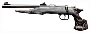 Chipmunk Hunter Youth 22 LR 40103
