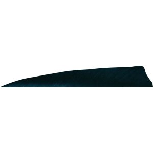Gateway 400RSSBK-50 Shield Cut Feathers Black 4" RW 50pk 2.76 Grains