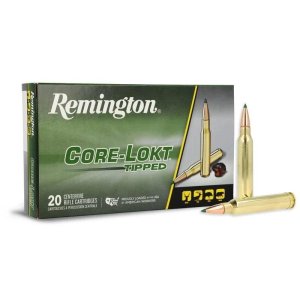 Remington R29038 300 Winchester Magnum 180 Grain 20 Rounds