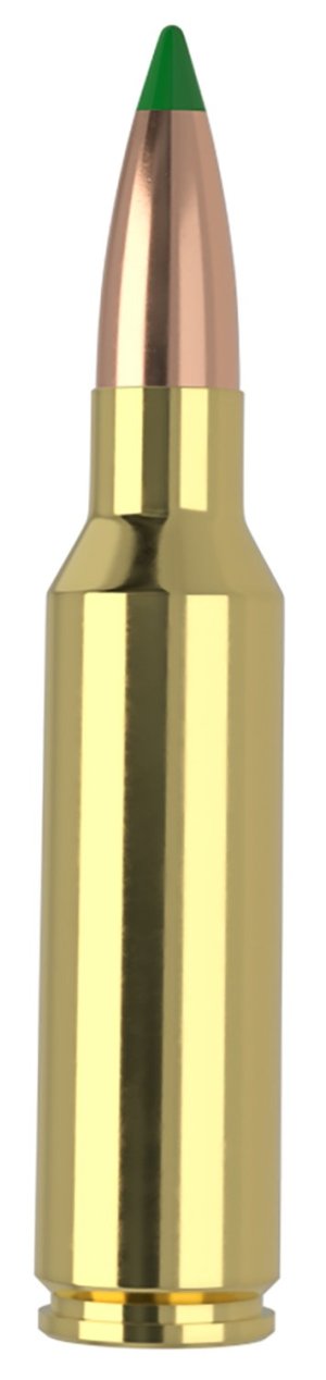 Nosler 61035 Ballistic Tip 300 WSM 165gr 3125 FPS Ammo 20/Box