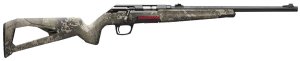 Winchester XPERT 17 WSM 525207186