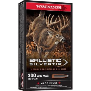 Winchester Ammo SBST300 Ballistic Silvertip 300 Win Mag 180 gr Polymer Tip 20 Per Box/ 10 Cs