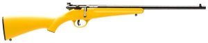 Savage Arms 13805 22 LR