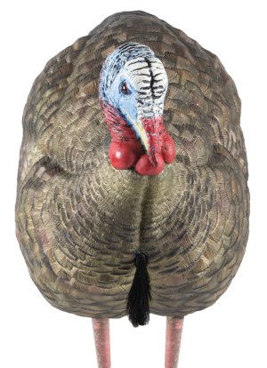 Avian X LCD Half-Strut Jake Turkey Decoy