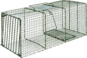 Duke Manufacturing Co. HD Cage Trap 36x15x14 In Large Coon