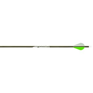 Gold Tip WAR400A272 Warrior Arrows 400 Raptor Vanes 72 Pack