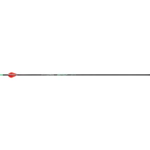Victory RIPXVGB-250FB-6 Arrows 250 Blazer Vanes 6pk, ICE Coating, AAE Nocks