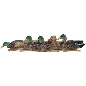 AvianX AVX8062 Top Flight Duck Decoys Early Season Mallards 6-Pack